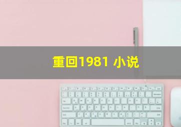 重回1981 小说